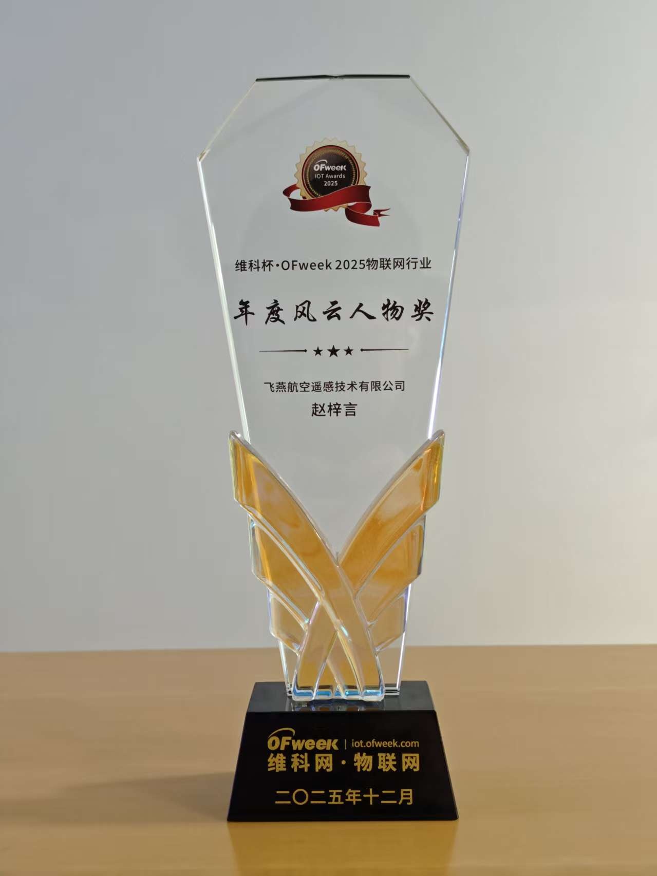 喜報丨飛燕遙感總經理趙梓言榮獲“2025物聯網行業年度風云人物”